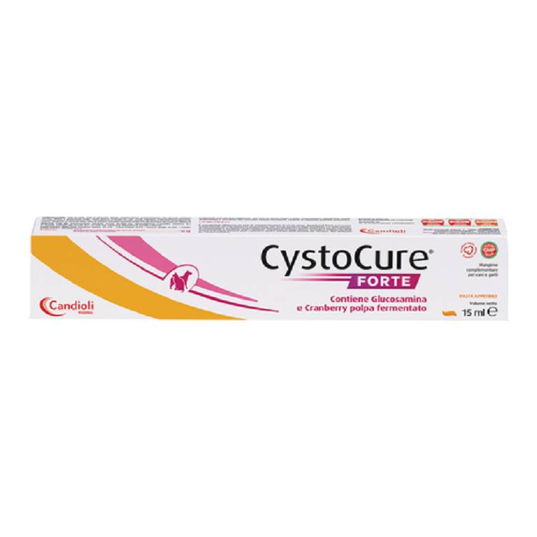 CYSTOCURE FORTE PASTA 15ML