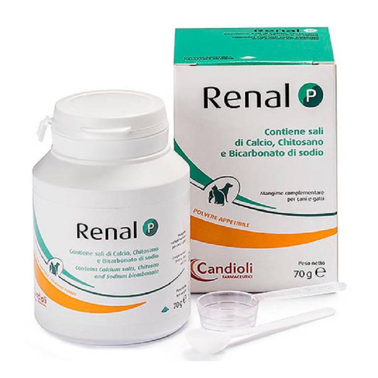 RENAL P 70g