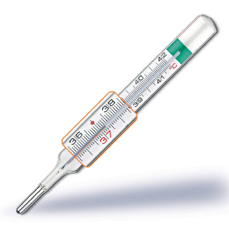 TERMOMETRO PIC VEDOECOPLUS V